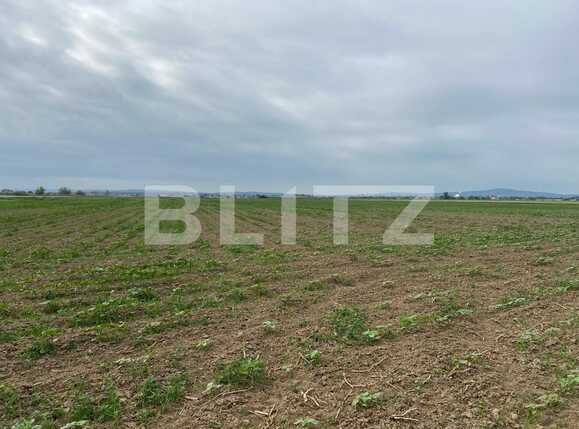 Teren de vânzare Fughiu - 88096TV | BLITZ Oradea | Poza9