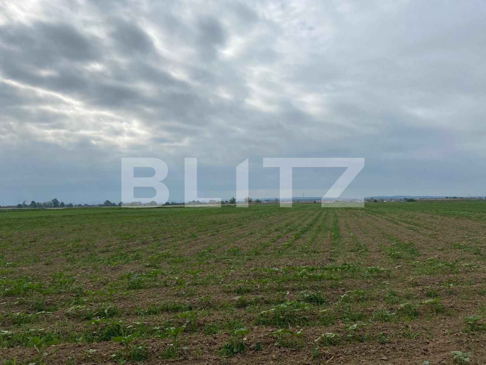 Teren de vânzare Fughiu - 88096TV | BLITZ Oradea | Poza6