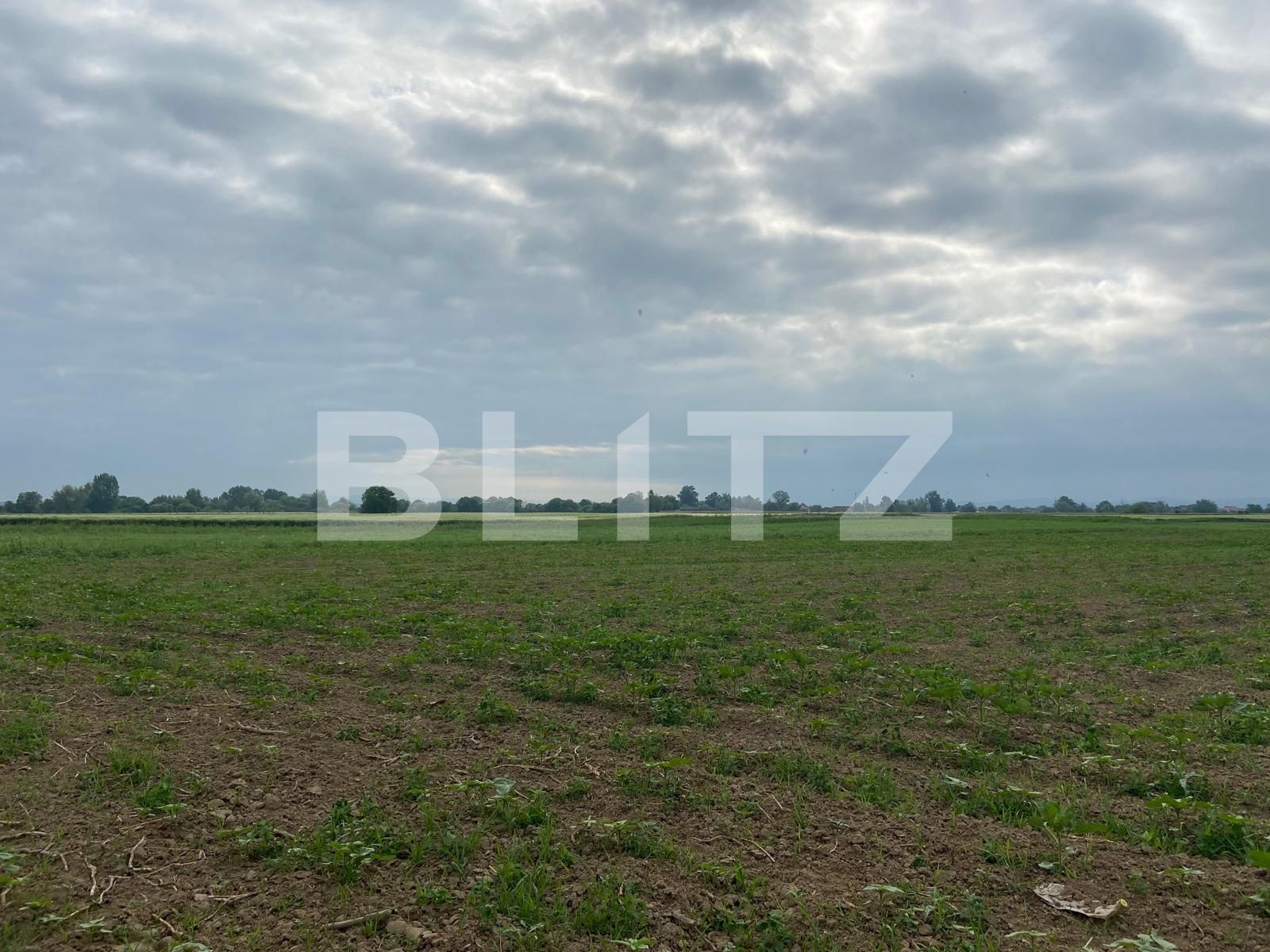 Teren de vânzare Fughiu - 88096TV | BLITZ Oradea | Poza7