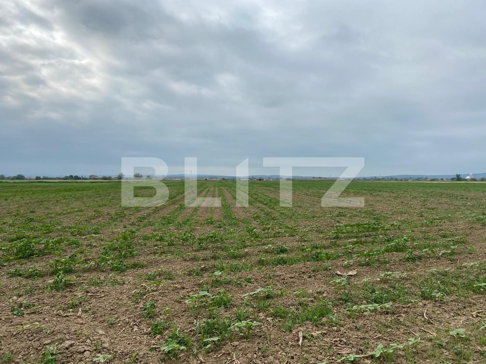 Teren de vânzare Fughiu - 88096TV | BLITZ Oradea | Poza2