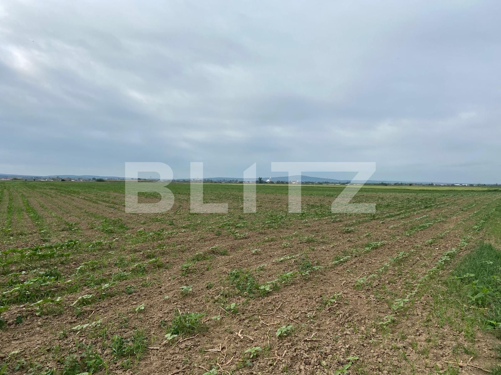 Teren de vânzare Fughiu - 88096TV | BLITZ Oradea | Poza4