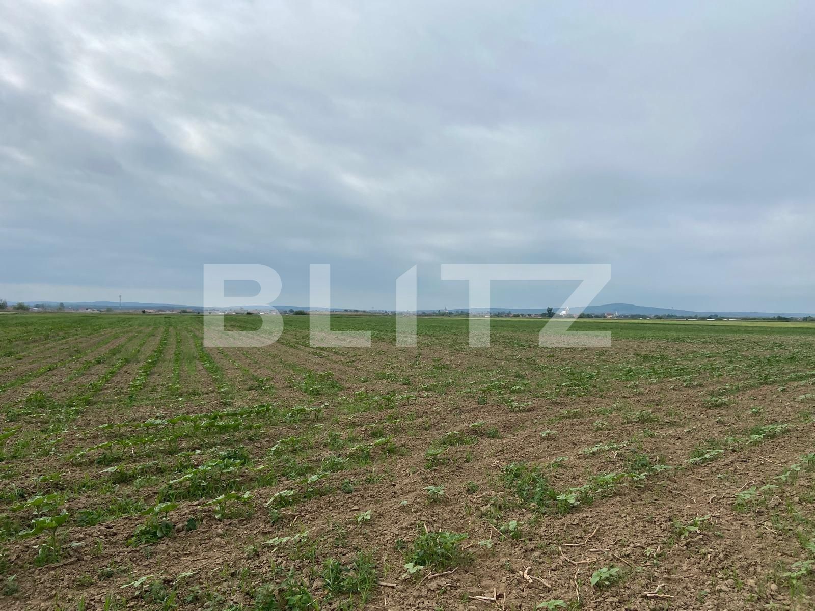 Teren de vânzare Fughiu - 88096TV | BLITZ Oradea | Poza3