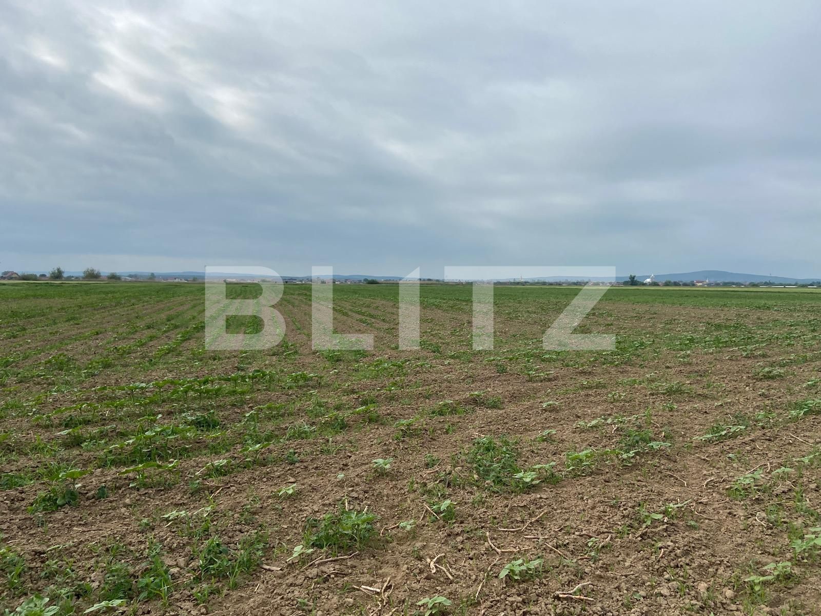 Teren de vânzare Fughiu - 88096TV | BLITZ Oradea | Poza9