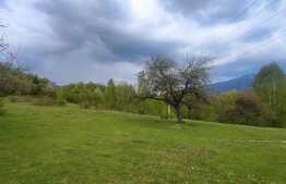 Teren extravilan, 15000 mp, zona Vartop