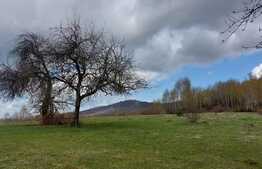 Teren extravilan, 15000 mp, zona Vartop