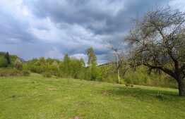 Teren extravilan, 15000 mp, zona Vartop