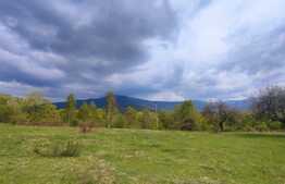 Teren extravilan, 15000 mp, zona Vartop
