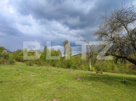 Teren de vânzare Exterior Est - 88151TV | BLITZ Oradea | Poza2