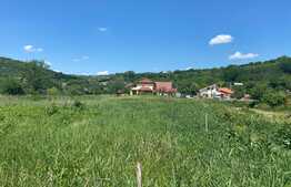 Teren intravilan de 728 mp, cu PUZ în Podgoria