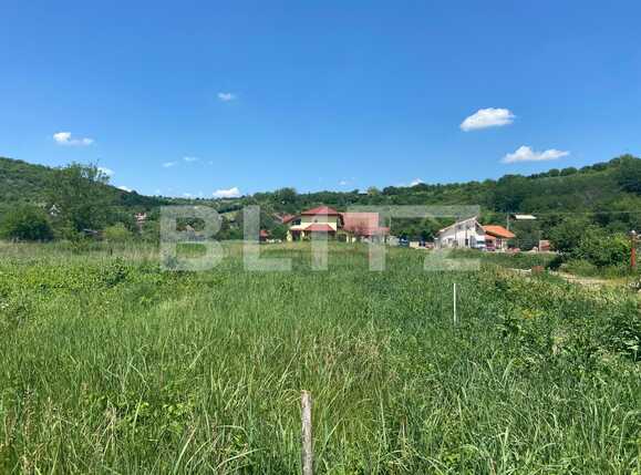 Teren de vânzare Podgoria - 88295TV | BLITZ Oradea | Poza1