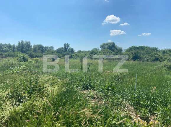 Teren de vânzare Podgoria - 88295TV | BLITZ Oradea | Poza3