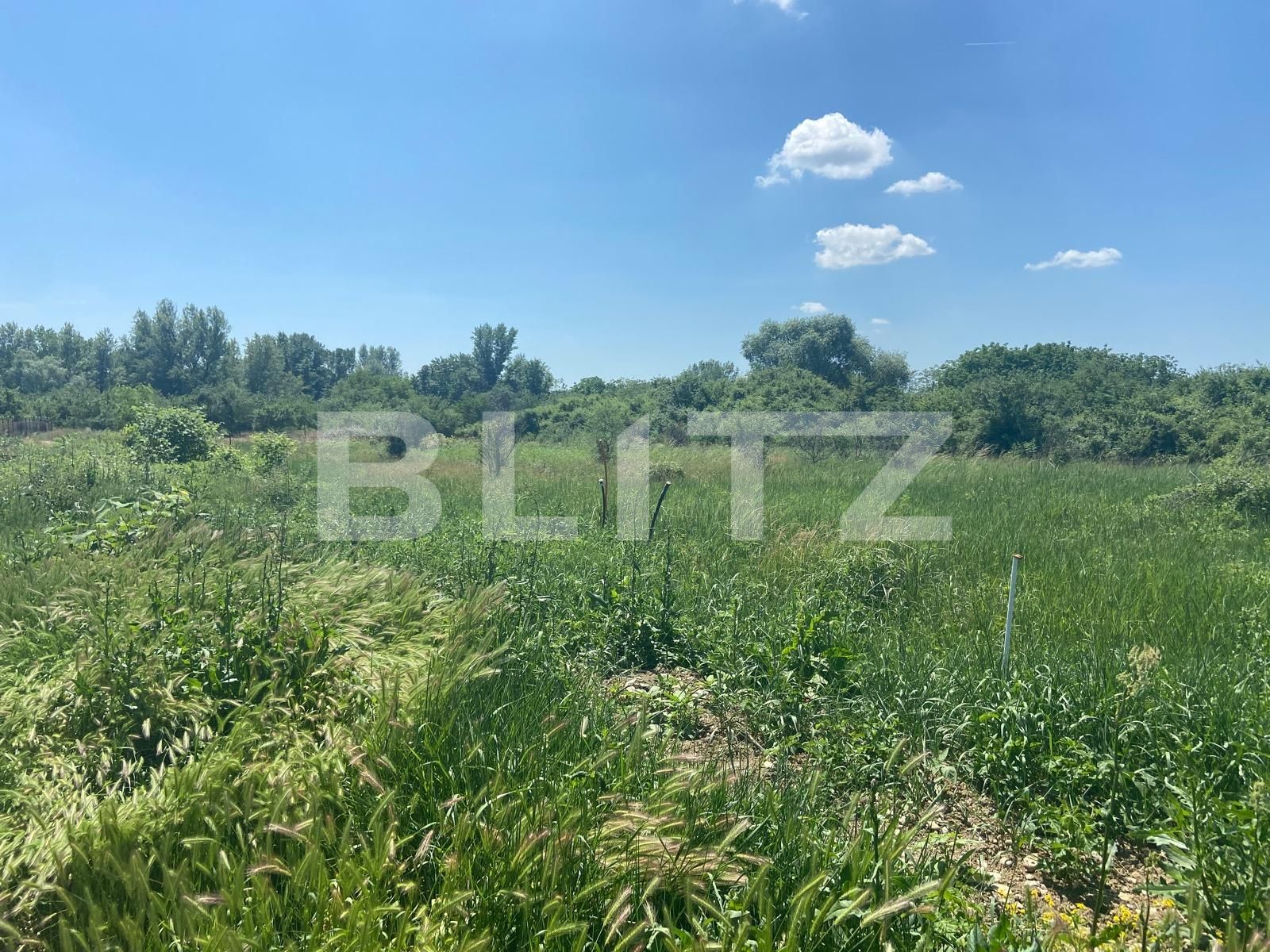 Teren de vânzare Podgoria - 88295TV | BLITZ Oradea | Poza3