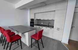 Apartamentul 2 camere, 55 mp, balcon, Prima Panorama