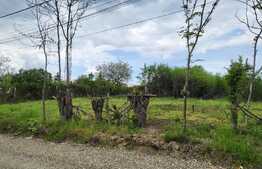 Oportunitate! Teren de 3960 mp, Dealuri Oradea