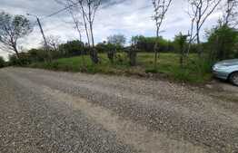 Oportunitate! Teren de 3960 mp, Dealuri Oradea