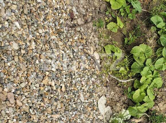 Teren de vânzare Dealuri Oradea - 88638TV | BLITZ Oradea | Poza4