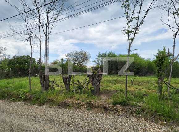 Teren de vânzare Dealuri Oradea - 88638TV | BLITZ Oradea | Poza3