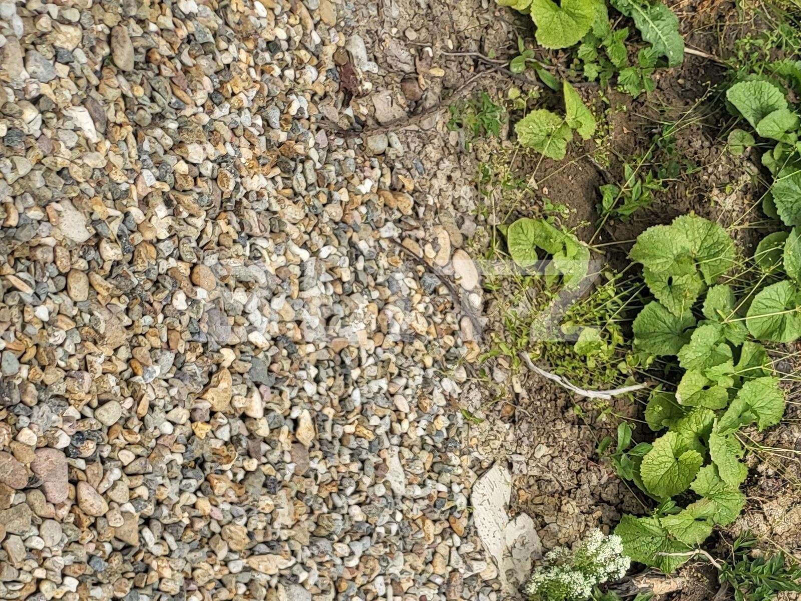 Teren de vânzare Dealuri Oradea - 88638TV | BLITZ Oradea | Poza4