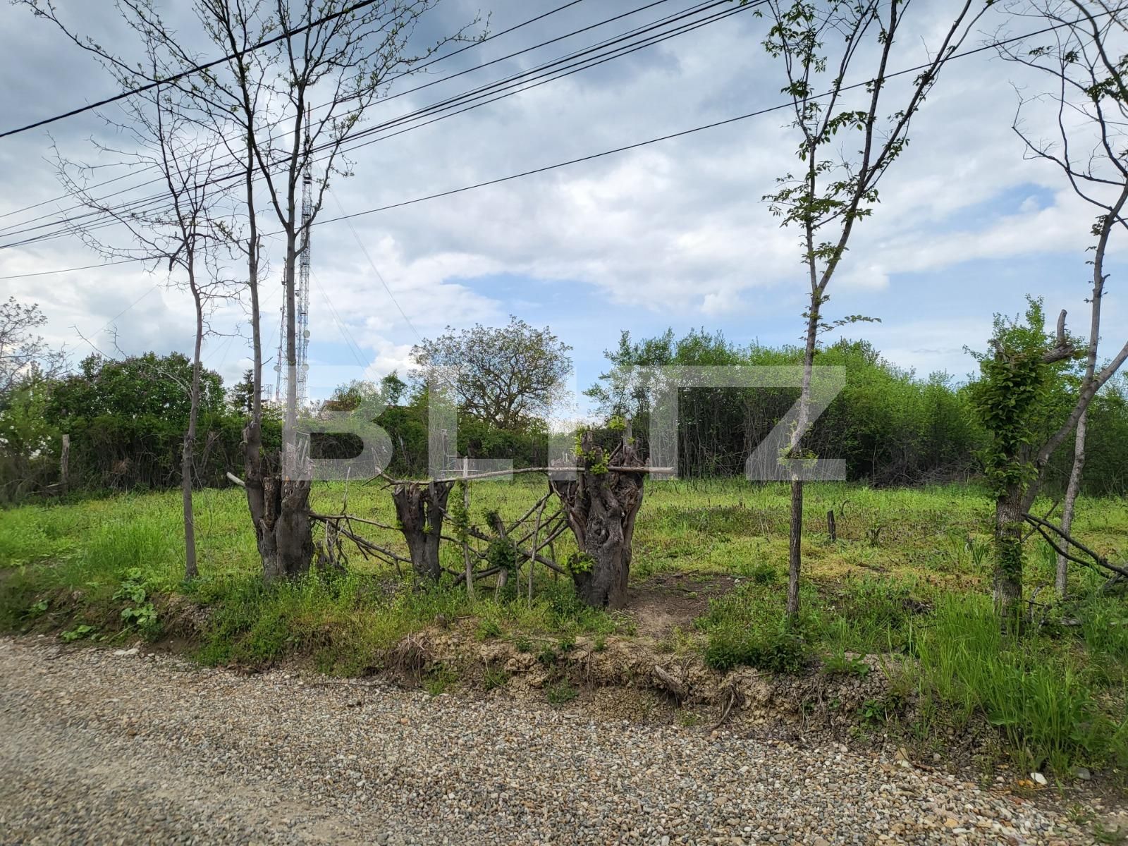 Teren de vânzare Dealuri Oradea - 88638TV | BLITZ Oradea | Poza3