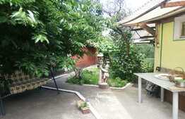 Casa 93 mp utili, 461 mp teren, Iosia