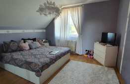 Casă de 4 camere, 132 mp, teren 599 mp, garaj, în Băile 1 Mai