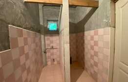 Pensiune 500 mp, teren 850 mp, in satul Boga