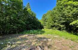 Pensiune 500 mp, teren 850 mp, in satul Boga