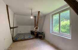 Pensiune 500 mp, teren 850 mp, in satul Boga