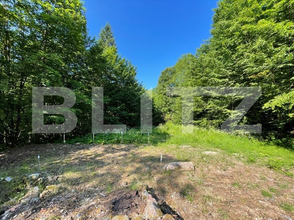 Casa de vânzare 13 camere Exterior Sud - 89242CV | BLITZ Oradea | Poza2