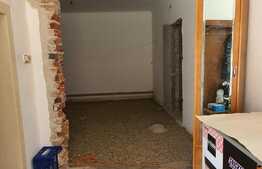 Casă/spațiu comercial 90 mp, teren 179 mp, terasa, în Nufărul