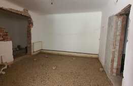 Casă/spațiu comercial 90 mp, teren 179 mp, terasa, în Nufărul