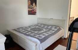 Casa 124 mp, teren 500 mp, terasa, în Santandrei