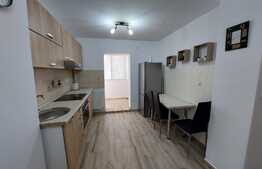 Apartament 2 camere, 55 mp, zona Decebal