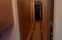 Apartament de 3 camere, decomandat, Cartier Nufărul