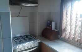 Apartament de 3 camere, decomandat, Cartier Nufărul