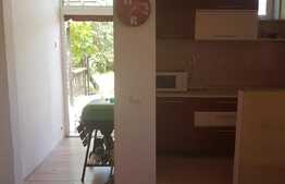 Casă individuală, 3 camere, 385 mp teren, zona Centrala