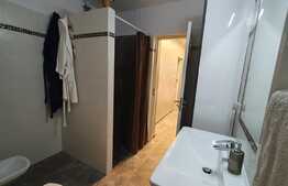 Casă individuală, 110 mp utili, 487 mp teren, zona Ioșia!