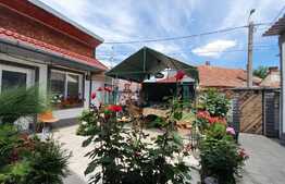 Casă individuală, recent renovată, 193 mp utili, teren 230 mp, zona Metro