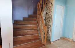 Casa de 5 camere, 200 mp, teren 425 mp, zona Nufărul!