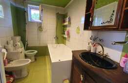 Casă de 100 mp, teren 164 mp, curte individuală, zona Plastor