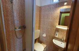 Pensiune 7 camere, 540 mp teren, lângă Felix