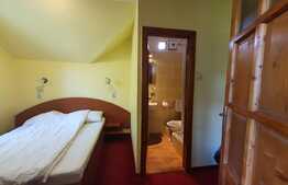 Pensiune 7 camere, 540 mp teren, lângă Felix