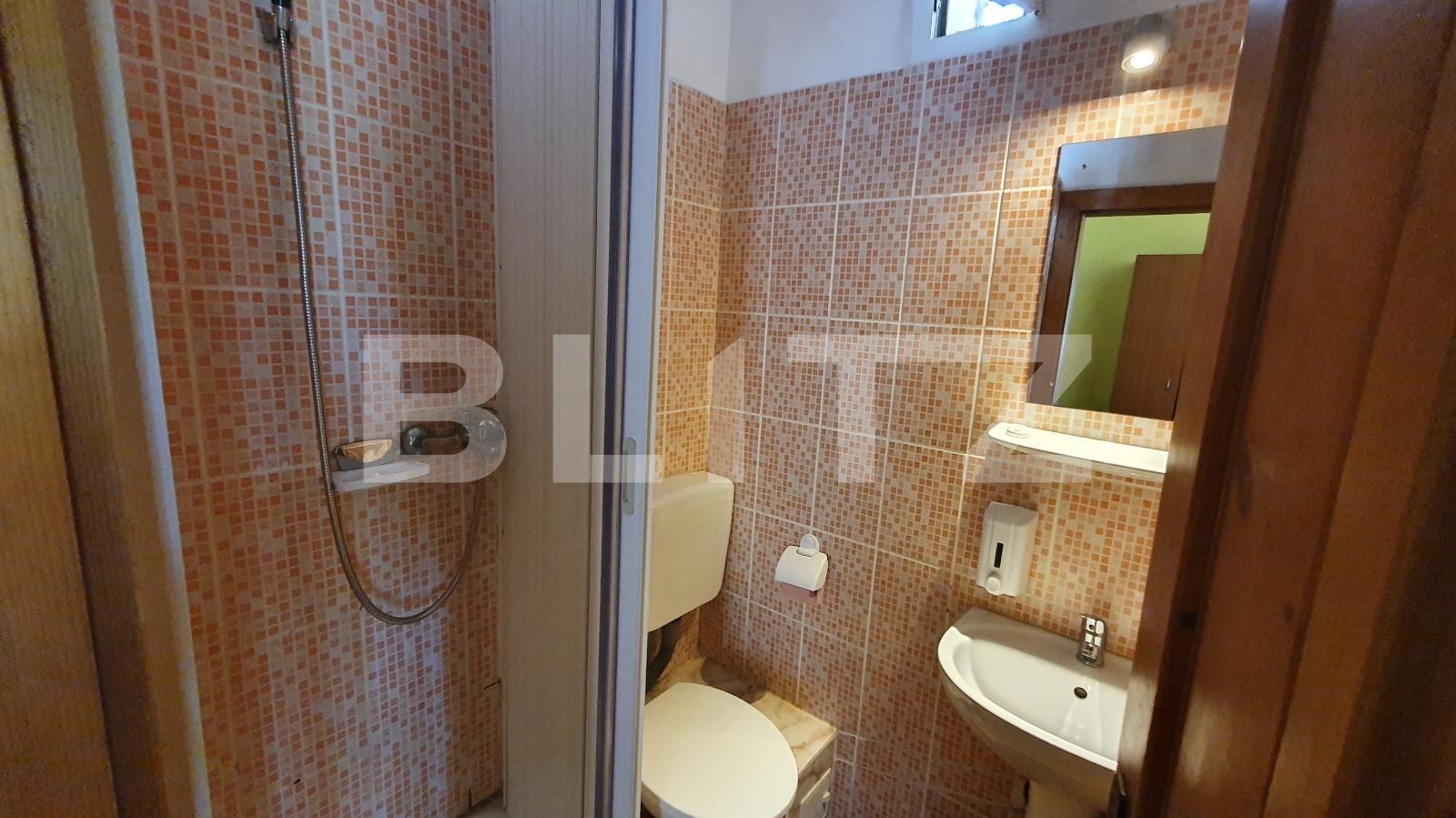 Casa de vânzare 7 camere Sanmartin - 90110CV | BLITZ Oradea | Poza17