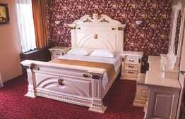 Afacere la cheie! Pensiune turistica, 3 stele, Baile Felix 