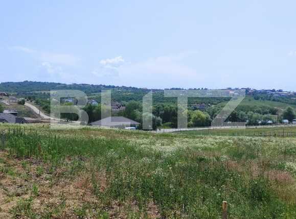 Teren de vânzare Saldabagiu de Munte - 90277TV | BLITZ Oradea | Poza1