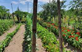 Casă de 80 mp, 3000 mp teren, în Biharia