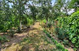 Casă de 80 mp, 3000 mp teren, în Biharia