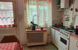 Casă de 80 mp, 3000 mp teren, în Biharia