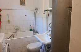 Casă de 80 mp, 3000 mp teren, în Biharia