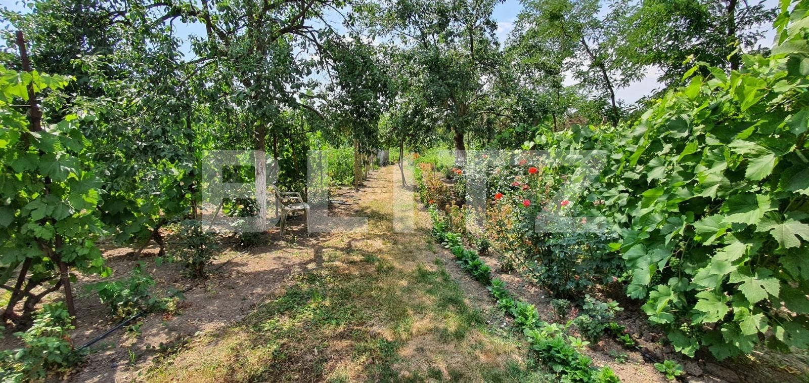 Casa de vânzare 4 camere Biharia - 90841CV | BLITZ Oradea | Poza9